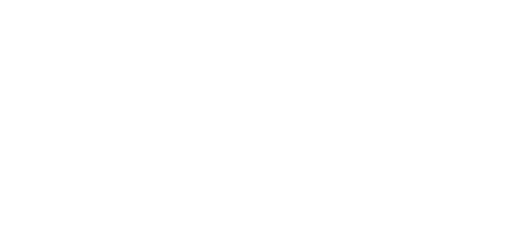 KND Safety Logo Stacked in White